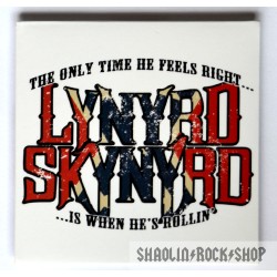 Lynyrd Skynyrd Iman Devil In The Bottle