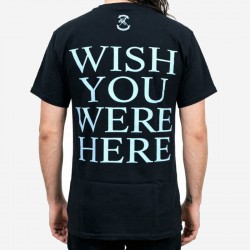 Pink Floyd Playera Wish You Were Here Diver