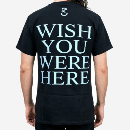 Pink Floyd Playera Wish You Were Here Diver
