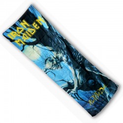 Iron Maiden Door Poster Fear Of The Dark