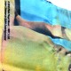 Pink Floyd Poster Door Size Catalog